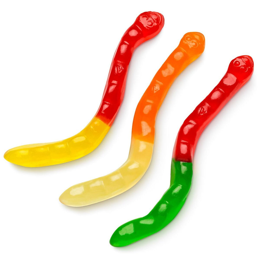 Albanese Bulk Large Assorted Gummi Worms 2.3 kg Exotic Bulk Candy Wholesale Montreal Quebec Canada
